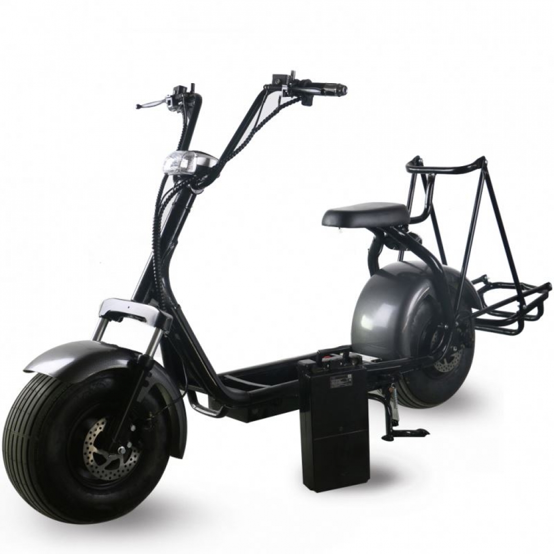 1000 W Golf Scooter